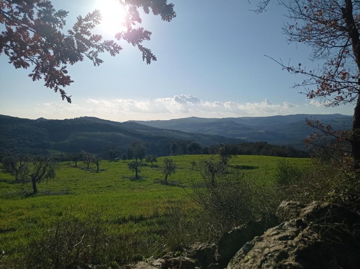 Splendido Ampio Appartamento A Montepulciano Stazione מראה חיצוני תמונה
