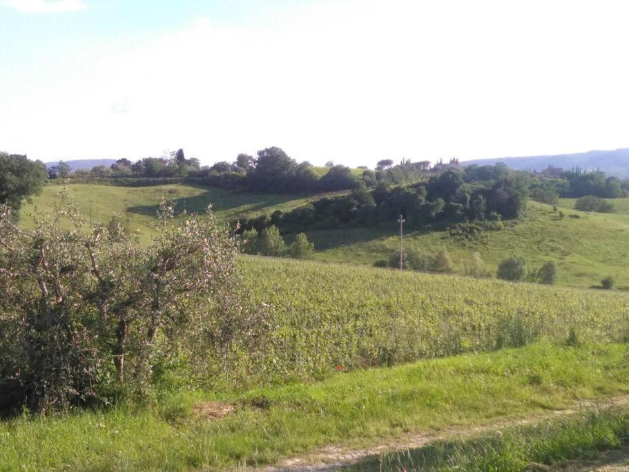 Splendido Ampio Appartamento A Montepulciano Stazione מראה חיצוני תמונה