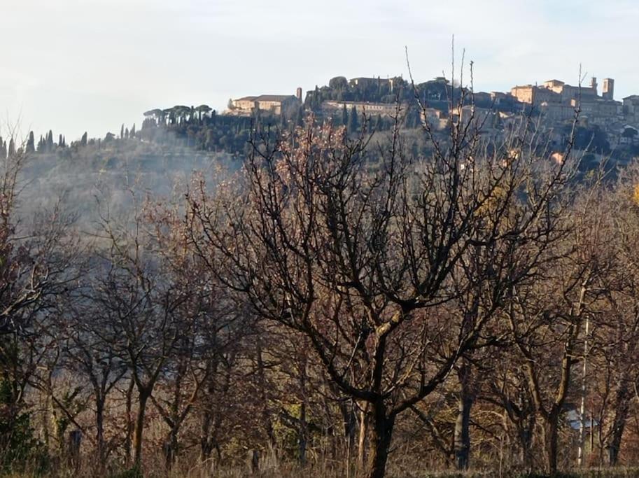 Splendido Ampio Appartamento A Montepulciano Stazione מראה חיצוני תמונה